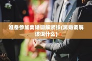 准备参加离婚调解紧张(离婚调解该说什么)