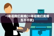 一年后我们离婚(一年后我们离婚互不干扰)