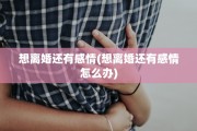 想离婚还有感情(想离婚还有感情怎么办)