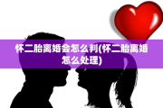 怀二胎离婚会怎么判(怀二胎离婚怎么处理)