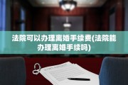 法院可以办理离婚手续费(法院能办理离婚手续吗)