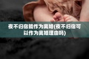 夜不归宿能作为离婚(夜不归宿可以作为离婚理由吗)