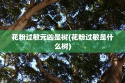 花粉过敏元凶是树(花粉过敏是什么树)