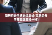 同居后分手感觉像离婚(同居后分手感觉像离婚一样)