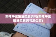两孩子离婚法院起诉书(两孩子离婚法院起诉书怎么写)