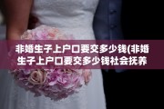 非婚生子上户口要交多少钱(非婚生子上户口要交多少钱社会抚养费)