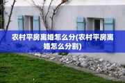 农村平房离婚怎么分(农村平房离婚怎么分割)