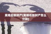 离婚后新财产(离婚后新财产怎么分割)