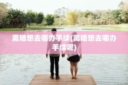 离婚想去哪办手续(离婚想去哪办手续呢)