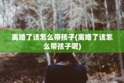 离婚了该怎么带孩子(离婚了该怎么带孩子呢)