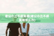 老公小三不愿离婚(老公小三不愿离婚怎么办)