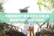 夫妻离婚财产有孩子怎么分配(夫妻离婚后财产有孩子的吗)