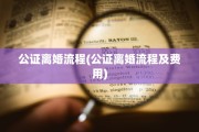 公证离婚流程(公证离婚流程及费用)