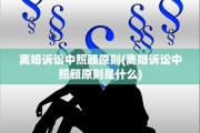 离婚诉讼中照顾原则(离婚诉讼中照顾原则是什么)