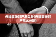 先提离婚财产怎么分(先提离婚财产怎么分割)