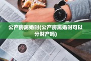 公产房离婚时(公产房离婚时可以分财产吗)