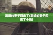 离婚的妻子回来了(离婚的妻子回来了小说)