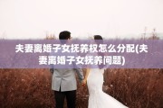 夫妻离婚子女抚养权怎么分配(夫妻离婚子女抚养问题)