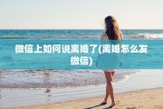 微信上如何说离婚了(离婚怎么发微信)