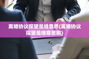 离婚协议探望是啥意思(离婚协议探望是啥意思啊)