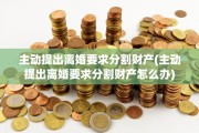 主动提出离婚要求分割财产(主动提出离婚要求分割财产怎么办)