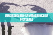 调解离婚发现对方(调解离婚发现对方出轨)