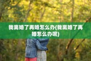 我离婚了再婚怎么办(我离婚了再婚怎么办呢)