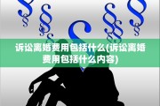 诉讼离婚费用包括什么(诉讼离婚费用包括什么内容)