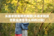 从追求到离婚的截图(从追求到谈恋爱应该是怎么样的过程)