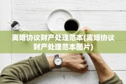 离婚协议财产处理范本(离婚协议财产处理范本图片)