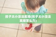 孩子太小没法离婚(孩子太小没法离婚怎么办)