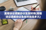 离婚诉讼调解协议生效时间(离婚诉讼调解协议生效时间是多久)