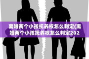 离婚两个小孩抚养权怎么判定(离婚两个小孩抚养权怎么判定2021)