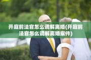 开庭前法官怎么调解离婚(开庭前法官怎么调解离婚案件)