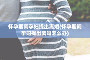 怀孕期间孕妇提出离婚(怀孕期间孕妇提出离婚怎么办)