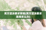 男方坚决要求离婚(男方坚决要求离婚怎么办)