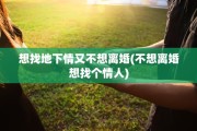 想找地下情又不想离婚(不想离婚想找个情人)