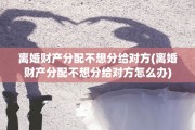 离婚财产分配不想分给对方(离婚财产分配不想分给对方怎么办)