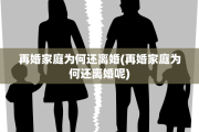 再婚家庭为何还离婚(再婚家庭为何还离婚呢)