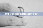 丈夫上诉法院离婚吗(男方上诉)