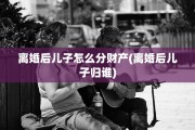 离婚后儿子怎么分财产(离婚后儿子归谁)