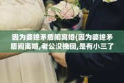因为婆媳矛盾闹离婚(因为婆媳矛盾闹离婚,老公没挽回,是有小三了嘛)