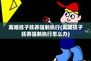 离婚孩子抚养强制执行(离婚孩子抚养强制执行怎么办)