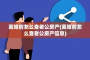 离婚前怎么查老公房产(离婚前怎么查老公房产信息)