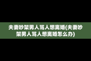 夫妻吵架男人骂人想离婚(夫妻吵架男人骂人想离婚怎么办)