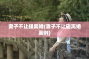 妻子不让碰离婚(妻子不让碰离婚案例)