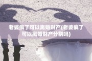 老婆疯了可以离婚财产(老婆疯了可以离婚财产分割吗)
