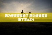 因为婆婆要离婚了(因为婆婆要离婚了怎么办)