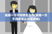 离婚一方不同意怎么办(离婚一方不同意怎么办理离婚)
