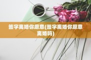 签字离婚你愿意(签字离婚你愿意离婚吗)